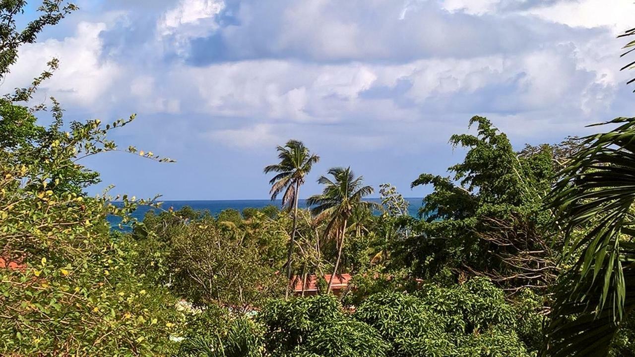 Kaz Maracudja Villa Deshaies Bagian luar foto